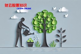 B股的基本交易规则是什么？ B股交易规则到底是怎样的？